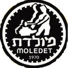 Moledet Shabbat plate for 6 pots - 660W - ML-1006