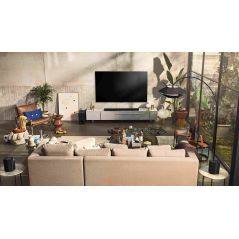 טלוויזיה אל ג'י 55 אינץ' - AI ThinQ - 4KSmart TV- OLED - דגם LG OLED55C1