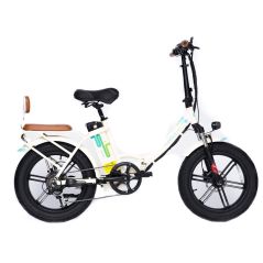 Folding electric bicycle CITY PATH 750
